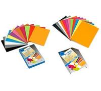 Rainex Sous-chemises Rock's assorties par 30 Lot de 1 Paquet de 30 sous-chemises Rock's RAINEX papier 80 grammes coloris assortis vifs