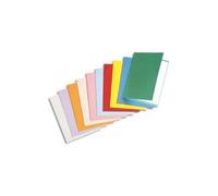 Rainex standard 180 100 chemises 24 x 32 cm assorties 305as