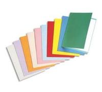 Rainex standard 180 100 chemises 24 x 32 cm assorties 305as G