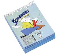 Rainex Standard 180 100 Chemises 24 x 32 cm Rose