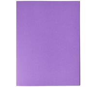 Exacompta Chemises Rainex Standard 250 100 24 x 32 cm Lilas