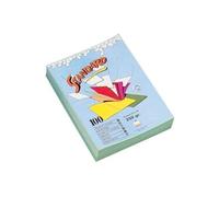 Rainex standard 250 100 chemises 24 x 32 cm orange 401or