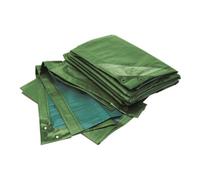 Rainexo RAINEXO Bâche de protection, 150 g/m², 6x10 m, vert/bleu Quantité:1
