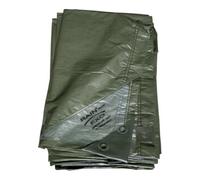 Rainexo RAINEXO Bâche de protection verte, 90 g/m², 2x3 m Quantité:1