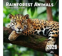 Rainforest Animals 2026 Calendar: A lush and diverse world full of hidden wonders