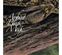 Rainforest Spiritual Enslavement Ambient Black Magic (Vinyl) 12" Album