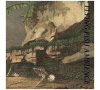 Rainforest Spiritual Enslavement - Flying Fish Ambience [Cd]