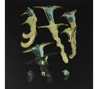 Rainforest Spiritual Enslavement - Jellyfish Reproduce Black Magic [Import]