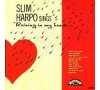 Raining in My Heart by Slim Harpo