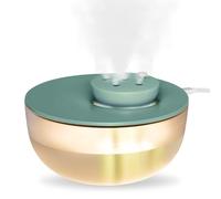 Rainpal 1,2L Mini humidificateur d'air avec éclairage, 20dB Humidificateur de brouillard froid réglable à 6 vitesses, 300 ml/H Volume de brouillard avec élément filtrant