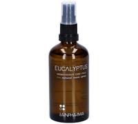 Rainpharma Natural Room Spray Eucalyptus 100 ml