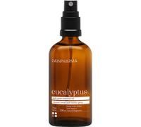 RainPharma Room Spray Eucalyptus Parfum D’Ambiance Naturel Concentré Spray 100ml