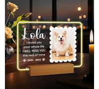 Rainsar Souvenir Personnalisée pour Chien et Chat Décédé - Cadre Photo Personnalisé avec Lumière - Lampe de Plaque Funeraire Personnalisable avec Photo Commémoratifs