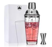 Raisaplin Shaker à cocktail en verre avec recettes sur le côté, verre à martini en cristal de 414 ml avec doseur double face, couvercle en acier métallique étanche et passoire pour tequila, whisky,
