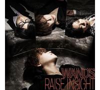 「RAISE INSIGHT」 (通常盤) (Blu-ray Disc付)
