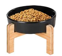 Raised Cat Bowl, Spill Proof Slow Feeder Pet Bowl, 10x10x12cm, Anti-Slip Ceramic Dog Food Container, Elevated Feeding Supplies for Indoor Cats, Dogs, Easy to Clean