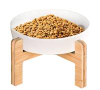 Raised Cat Bowl, Spill Proof Slow Feeder Pet Bowl, 10x10x12cm, Anti-Slip Ceramic Dog Food Container, Elevated Feeding Supplies for Indoor Cats, Dogs, Easy to Clean