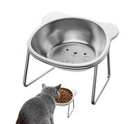 Raised Cat Bowls - Stainless Steel 15° Tilted Nonslip Dishes | Non-Spill Kitten Water Bowl For Puppy Pets Home Living Room Indoor Outdoor Floor