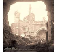 Raison d'Etre - Within the Depths of Silence... (Marbled Black / Gol