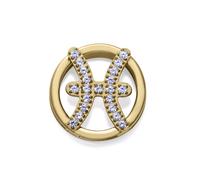 Raison Horoscope Gémeaux Acier 14271M01012P