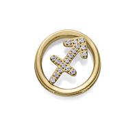 Raison Horoscope SAGITTAIRE Acier 14271M01012S