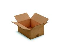 RAJA Caisse américaine carton double cannelure - L.40 x l.30 x H.18 cm - Kraft brun - Lot de 15