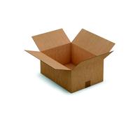 RAJA Caisse américaine carton simple cannelure - L.40 x l.30 x H.18 cm - Kraft brun - Lot de 25