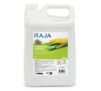 RAJA Détergent multi-usages concentré parfum Verveine - Bidon 5 L
