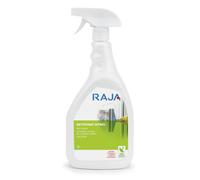 RAJA Nettoyant pour vitres écologique - Spray 1 L