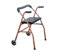 RajoNN Déambulateur pliable en alliage d'aluminium à 2 roues avec cadre pour marche avec main courante pour personnes âgées handicapées, déambulateur Standard, aides à la mobilité, ambition ambitieuse