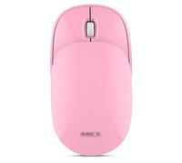 RajoNN Mice Souris sans Fil Fine 2,4 G avec récepteur, Moins de Bruit, Souris Optique Mobile Portable coulissante pour Ordinateur Portable, PC, Ordinateur Portable, Ordinateur (Couleur : Rose)