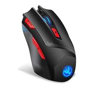 RajoNN Mice Souris sans Fil, Souris de Jeu PC Rechargeable, rétroéclairage RVB pouvant être désactivé, 4800 DPI réglable, pour Ordinateur Windows