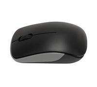 RajoNN Souris Ergonomique, Taille Mini, Utilisation Confortable, Souris sans Fil Portable 2,4 GHz pour Les Voyages et la Maison (Noir)