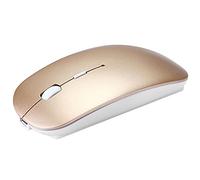 RajoNN Souris Souris sans Fil, Souris Bluetooth USB silencieuse Rechargeable avec récepteur, 3 DPI réglable jusqu'à 1600, Souris d'ordinateur pour Ordinateur Portable/Windows (Couleur :