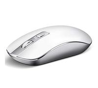 RajoNN Souris Souris sans Fil, Souris Optique Portable Mince et silencieuse 2,4 G avec Commutation Rapide DPI, Souris d'ordinateur pour PC/Windows/Android (Couleur : Blanc)