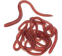 Rakiuty 10 Pièces Ver de Terre Artificiel, Fausse Réaliste Ver de Terre, Farce et Attrape Enfant, Trucs de Farce, Accessoires pour Poisson d'Avril Farces d'halloween