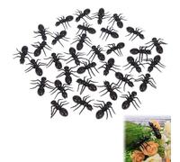 Rakiuty Décor De Fourmi en Plastique Petit,Grosse Fourmi Sculpture De Fourmi,Halloween Fourmis Noir Plastique Réalistes,Jouet Insecte Animal Petite Fourmi,Farce Fausses Fourmis,20PC