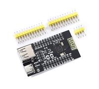 RAKSTORE CH582M Carte de développement Core Board BLE Microcontrôleur Bluetooth sans fil Faible puissance Bluetooth MCU Dual USB