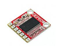 RAKSTORE Module d'amplificateur numérique mono OEP60W 60W Classe D
