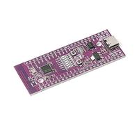 RAKSTORE W801 Microcontrôleur 32 bits WiFi Bluetooth Dual Mode SoC Development Board LoT MCU Module