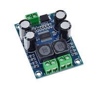 RAKSTORE XH-M311 Mini TPA3118 Module amplificateur audio numérique mono 60 W