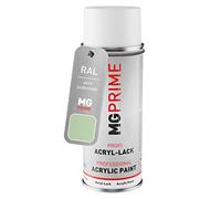 RAL 6019 Vert blanc/Pastel green Bombe aérosol 400 ml mat satiné séchage rapide