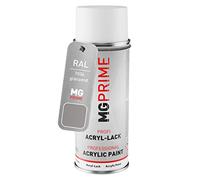 RAL 7036 Gris platine/Platinum grey bombe aérosol 400 ml brillant séchage rapide