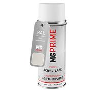 RAL 9002 Blanc gris/Grey white Bombe aérosol 400 ml mat satiné séchage rapide