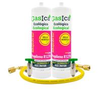 Ralertreik Gaz réfrigérant gazique C10 compatible avec R32 R410A valve incluse (2 bouteilles + tuyau)