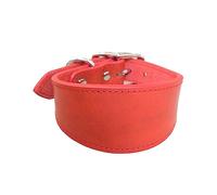 RALIYATX Colliers ajustables, collier pour chiens en cuir, collier rembourré doux pour whippets salukis lévriers collier réglable pour chiens de grande races - Rouge - L