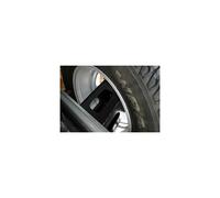 Rallonge de pneu et de feu stop pour hayon arri re RAMPAGE PRODUCTS 86616 pour Jeep Wrangler YJ 1987-1995 et TJ 1997-2006