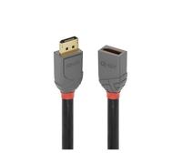 Lindy Rallonge DisplayPort Anthra Line 3 m