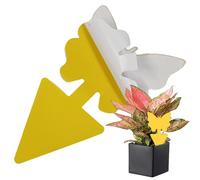 Ram Lot de 60 pièges à Mouches à Fruits Double Face pour contrôle des Insectes et des Plantes d'intérieur et d'extérieur Jaune