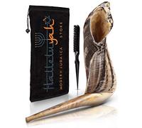 Ram Shofar d'Israël 30,5 cm - 35,6 cm : corne de bélier casher inodore | Embouchure lisse pour un soufflage facile | Comprend un sac en velours, une brosse de nettoyage et un guide de chophar -